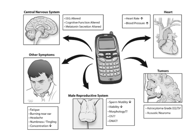 電磁輻射知識(shí)科普：為什么信號(hào)越弱，手機(jī)輻射越大？