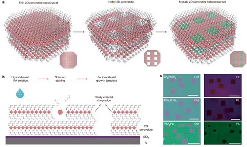中國科大自刻蝕技術攻克材料難題 二維半導體加工獲重大突破，實現原子級“馬賽克”異質結可控構筑